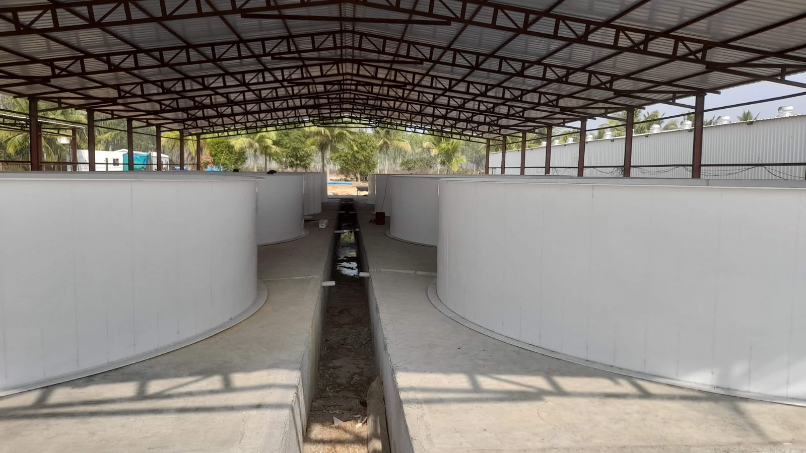 WhatsApp Image 2025-07-25 at 18.22.24_ba83b2b9.jpg